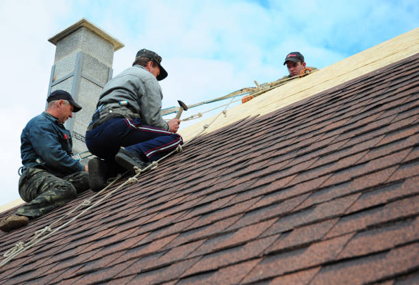Best Metal Roofing Contractor  in Piqua, OH